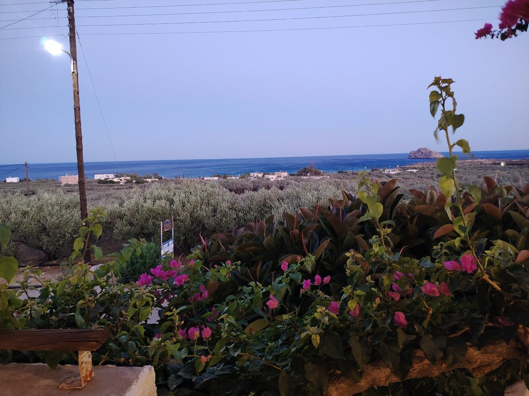 Liviko View Restaurant