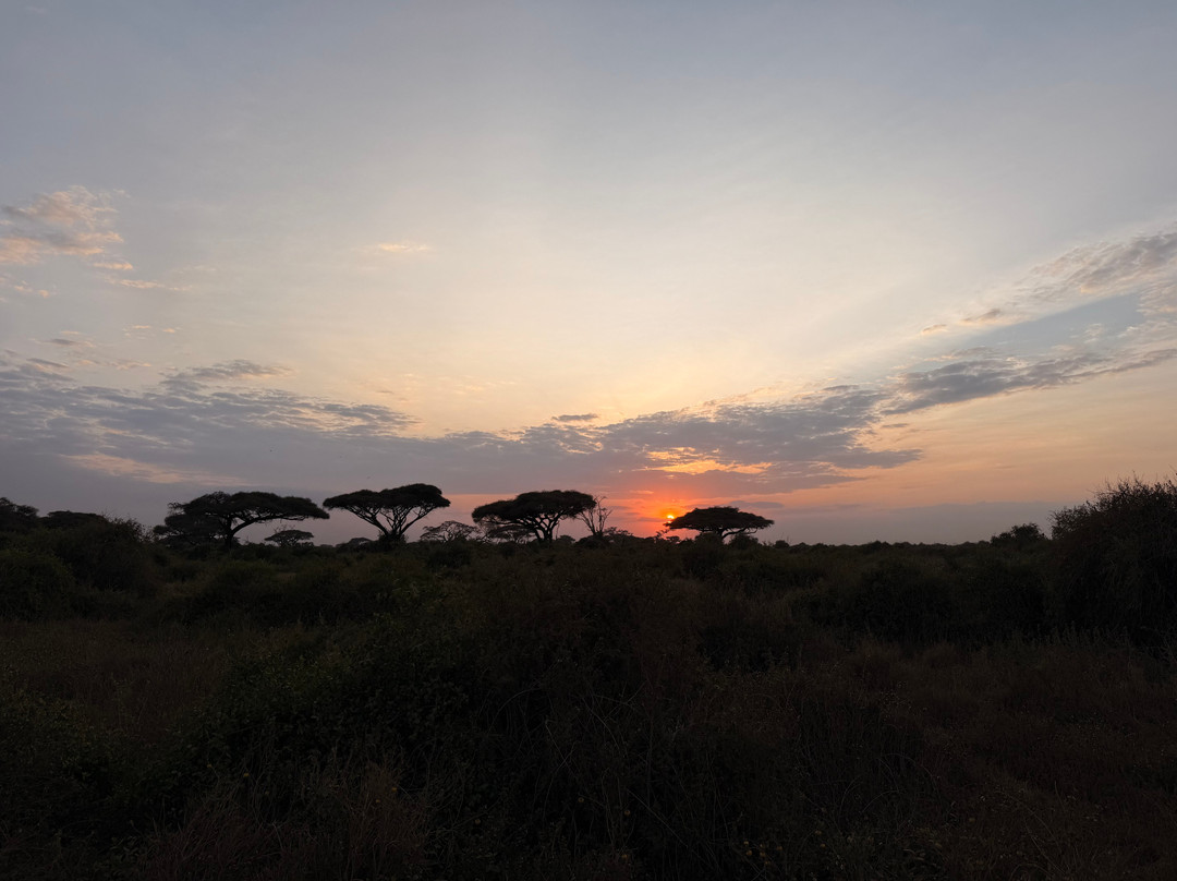 Brighte Maasai Adventures-Mara North Conservancy必去景点