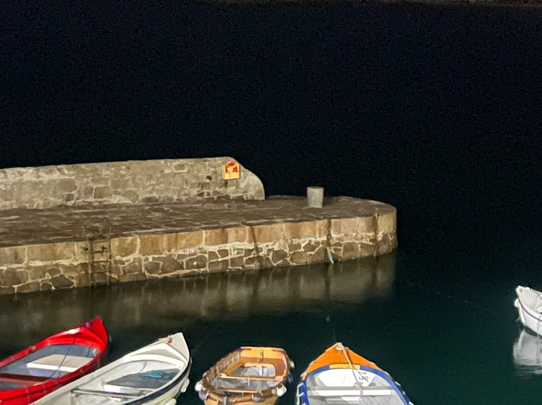 Coliemore Harbour-达尔基必去景点
