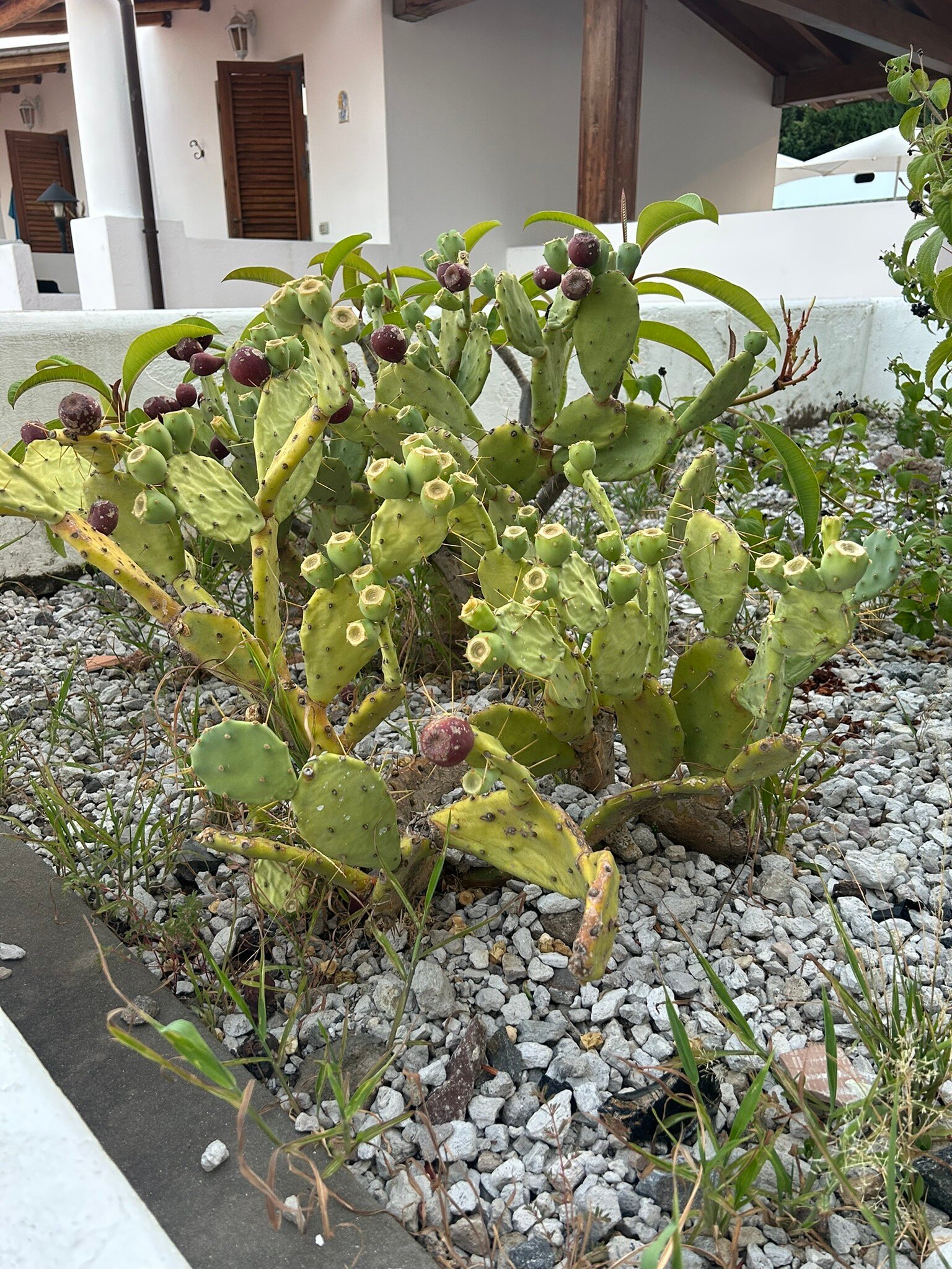 Gattopardo Park Hotel-官方