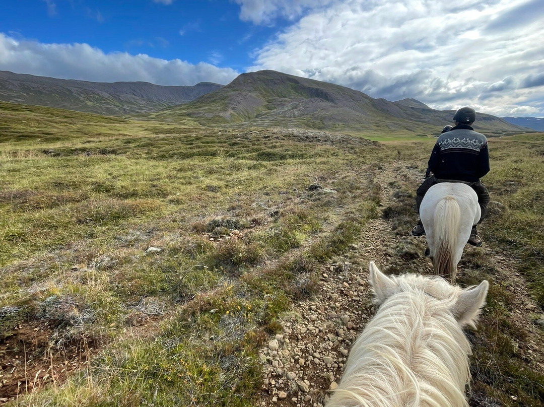 Langhús Farm-Skagafjordur必去景点
