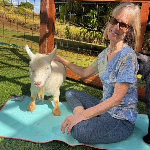 808 Goat Yoga-阿那荷拉必去景点