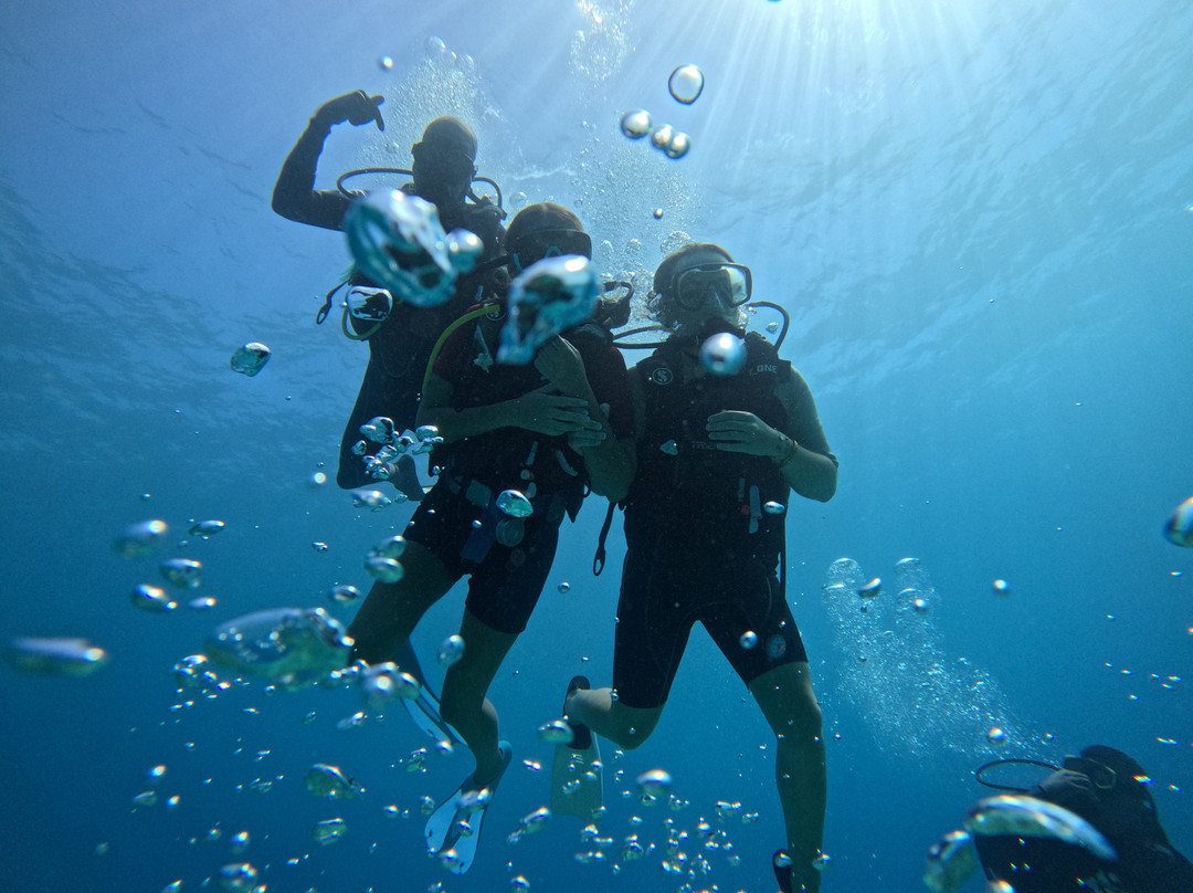 Seaman Diving-大湾必去景点