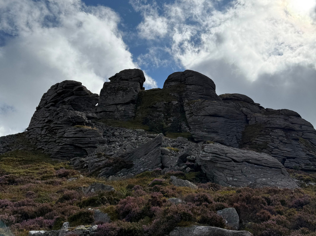 Bennachie Hill Walks-阿伯丁必去景点