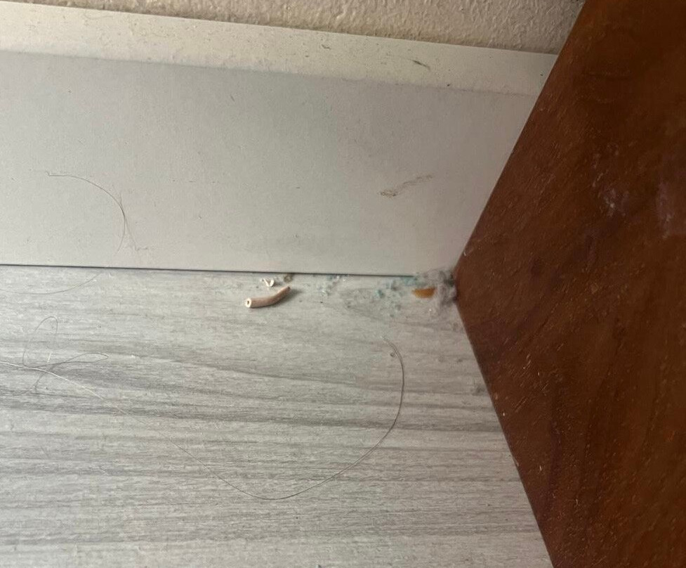 Europa Palace Hotel主图