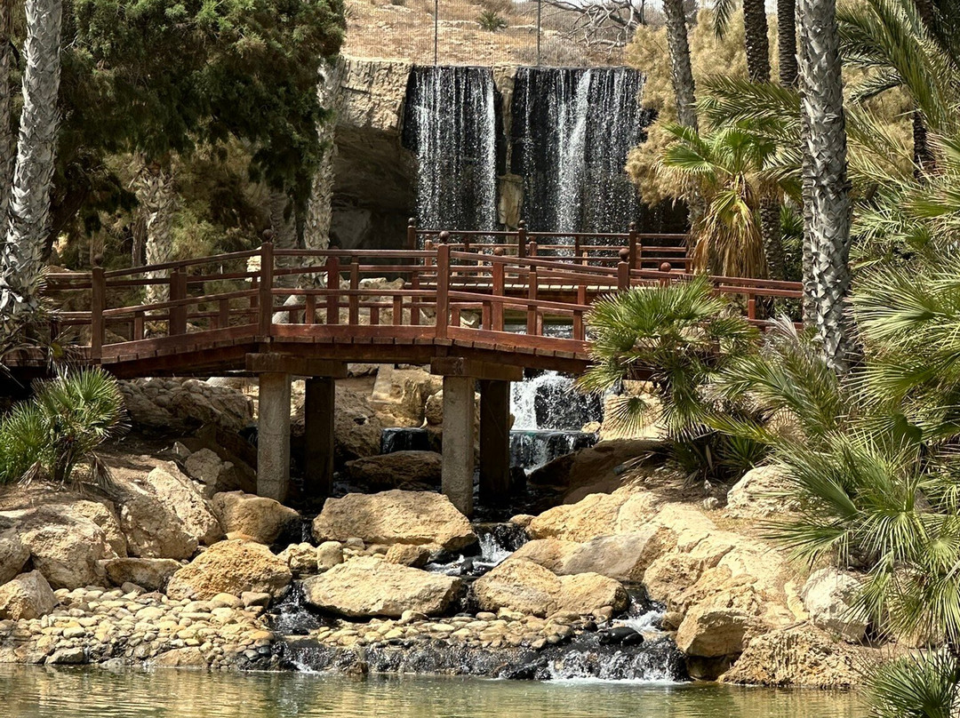 Parque El Palmeral-阿利坎特省必去景点