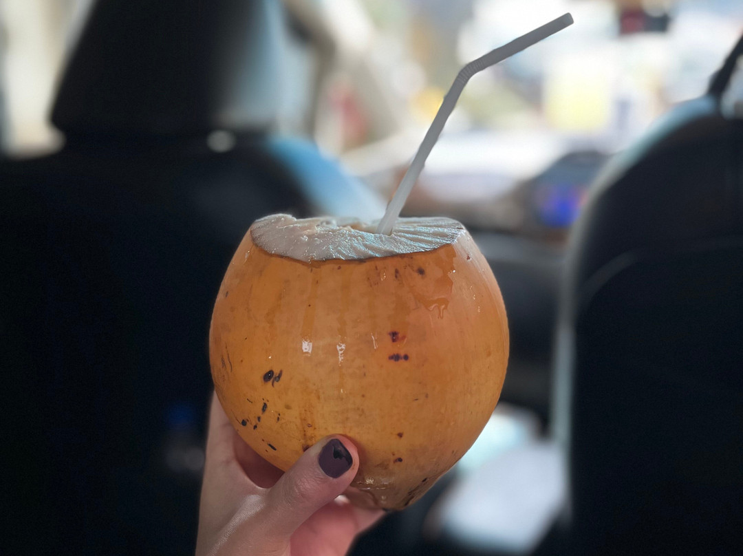 Rubik's Tours (pvt) Ltd-科伦坡必去景点