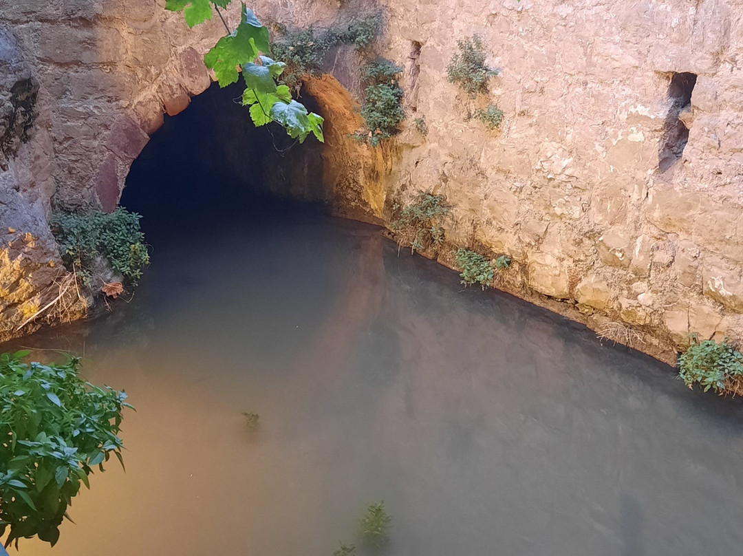 El Molino del Gato-阿尔巴拉辛必去景点