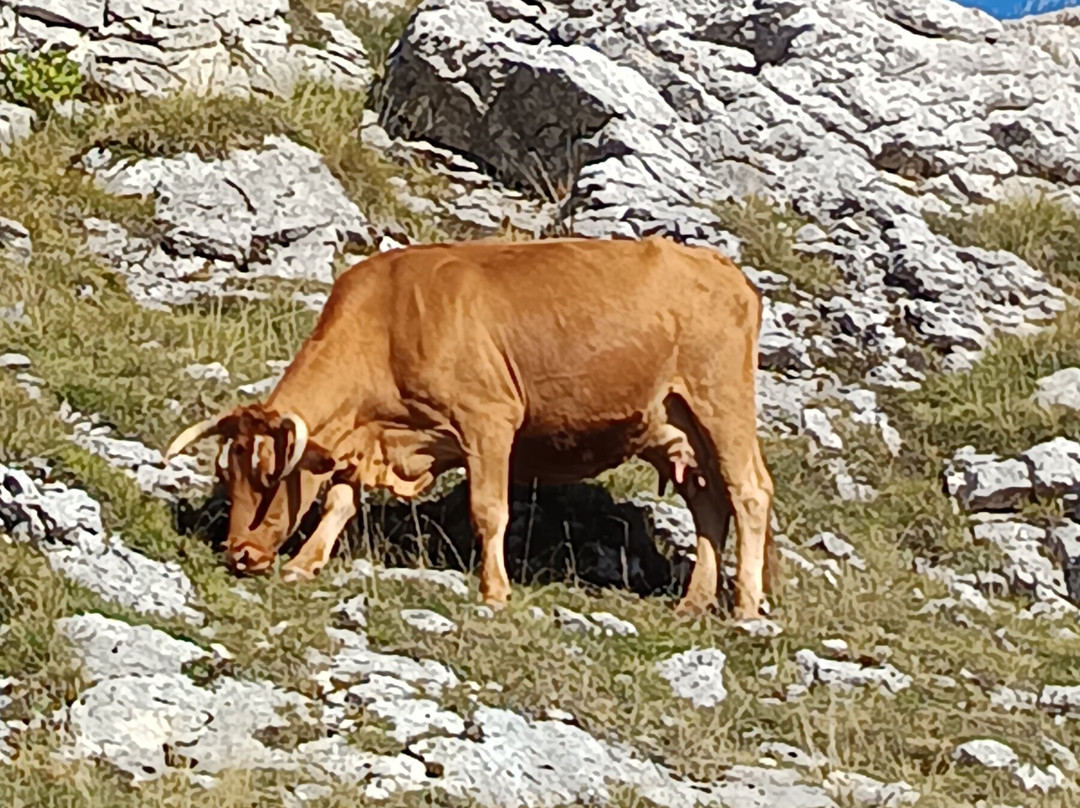 Village Cap Vercors Font d'Urle主图