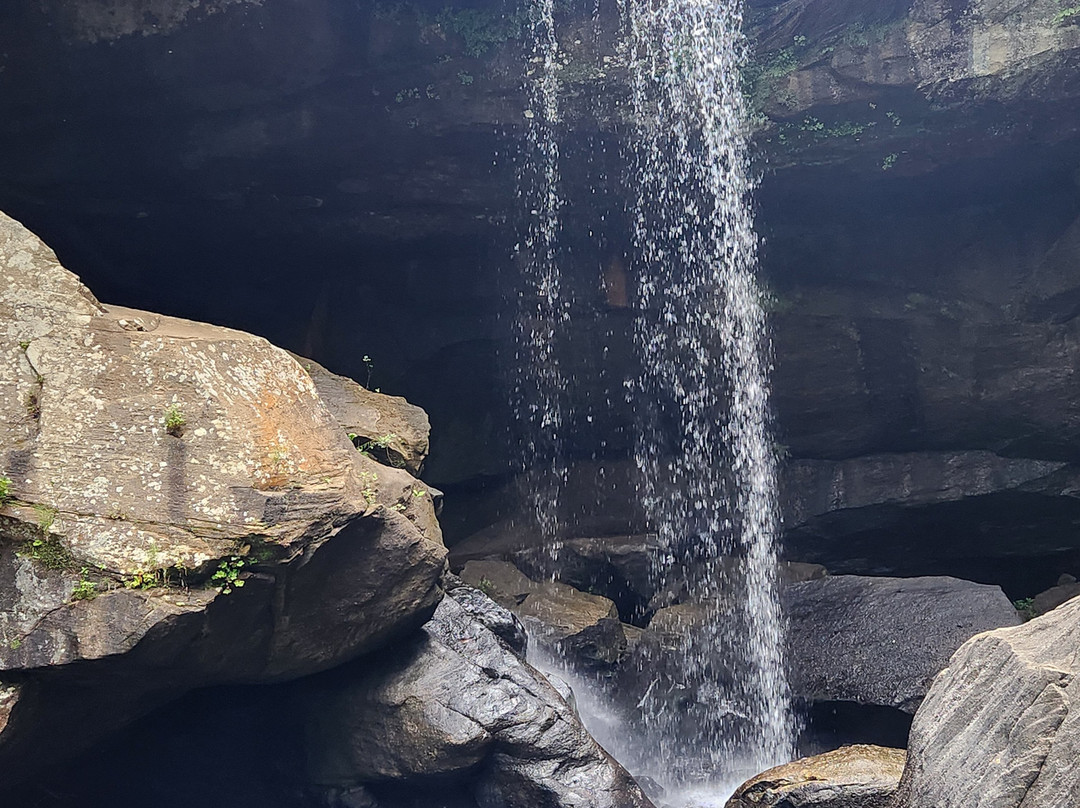 Cumberland Falls Farm-Corbin必去景点