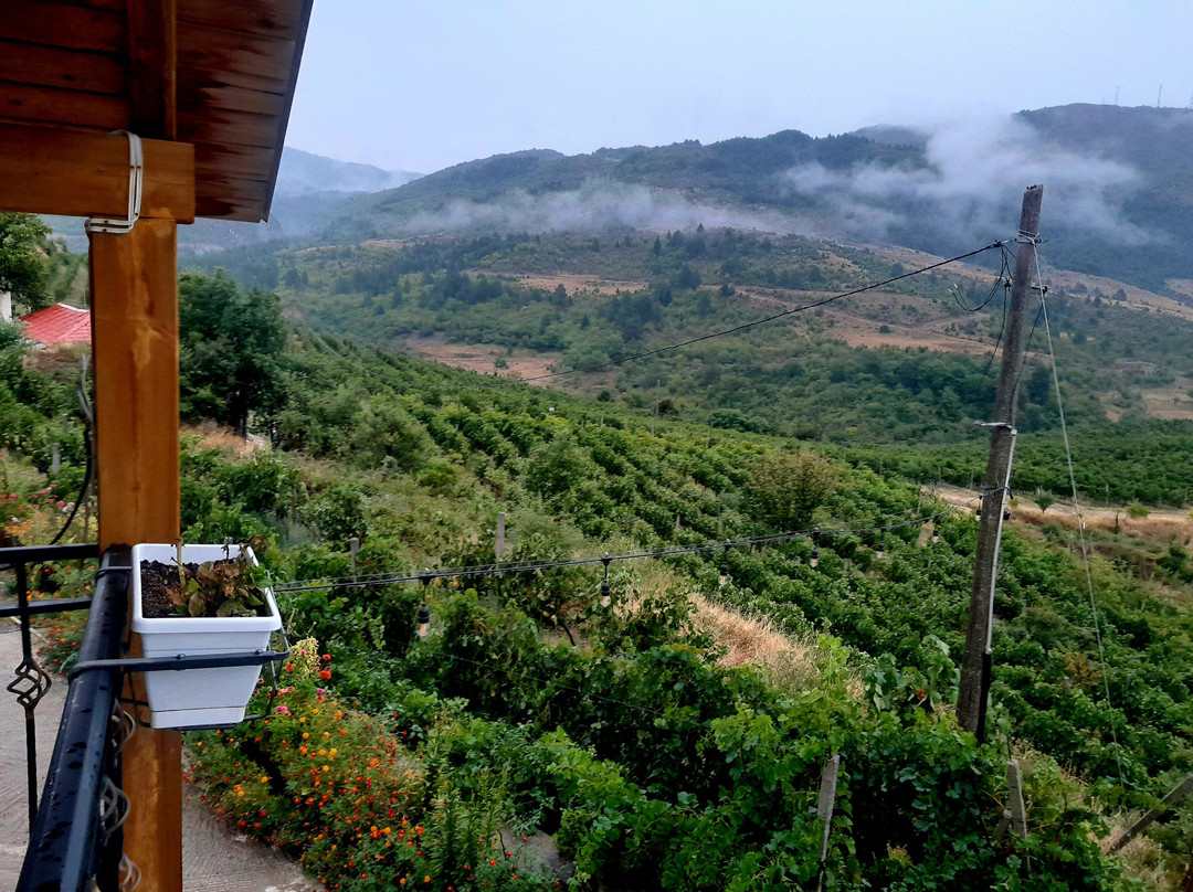 Max Mavrud - Winetour Experience-Leskovik必去景点