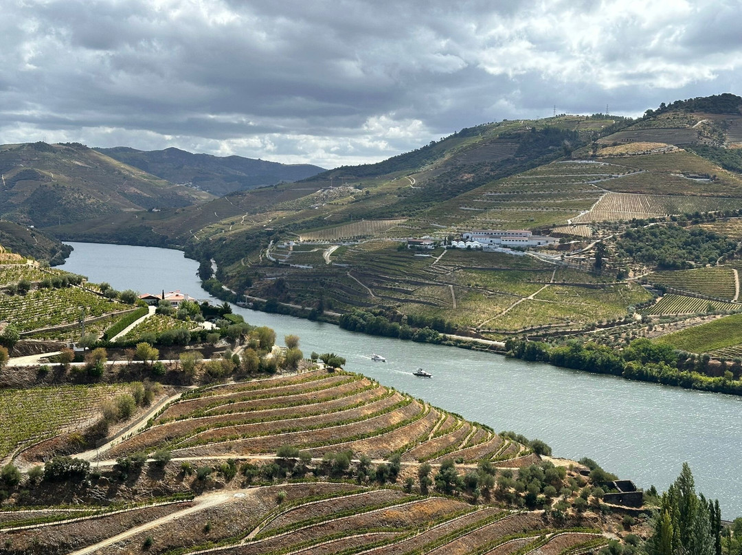 Quinta do Crasto-Sabrosa必去景点