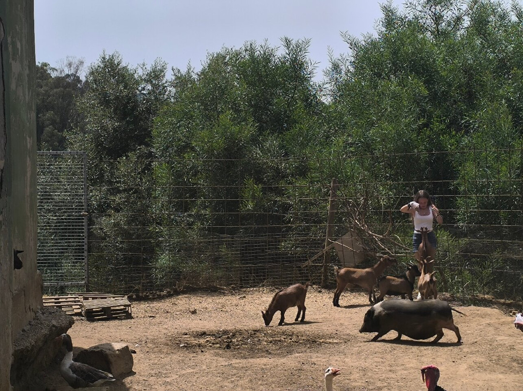 Zoo de Castellar-Castellar de la Frontera必去景点