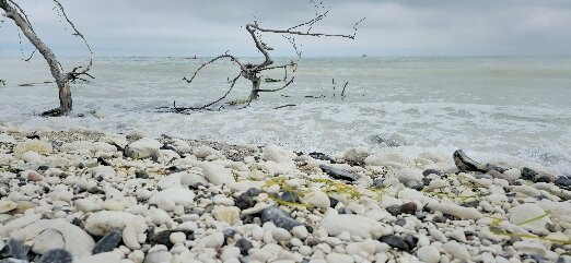 Geo Center Mons Klint-Borre必去景点