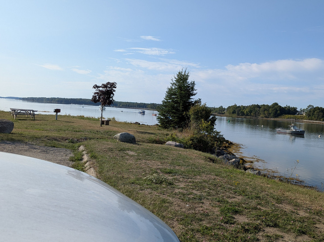 Robertson Sea Tours & Adventures-Milbridge必去景点