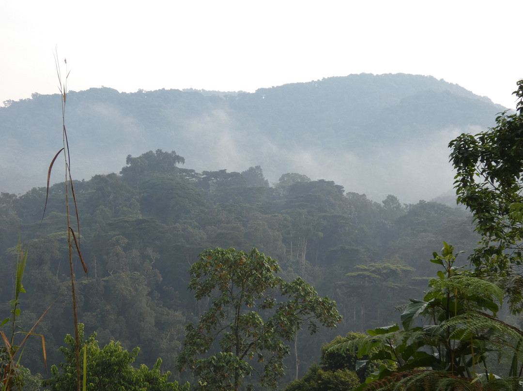 Prime Safaris & Tours-坎帕拉必去景点