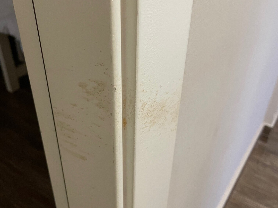 Vitalclass Lanzarote Sports & Wellness Resort主图