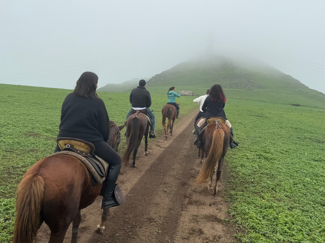 Cabalgatas-Santa Cruz de Flores必去景点