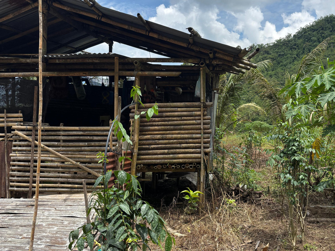 Saloma Villagestay主图