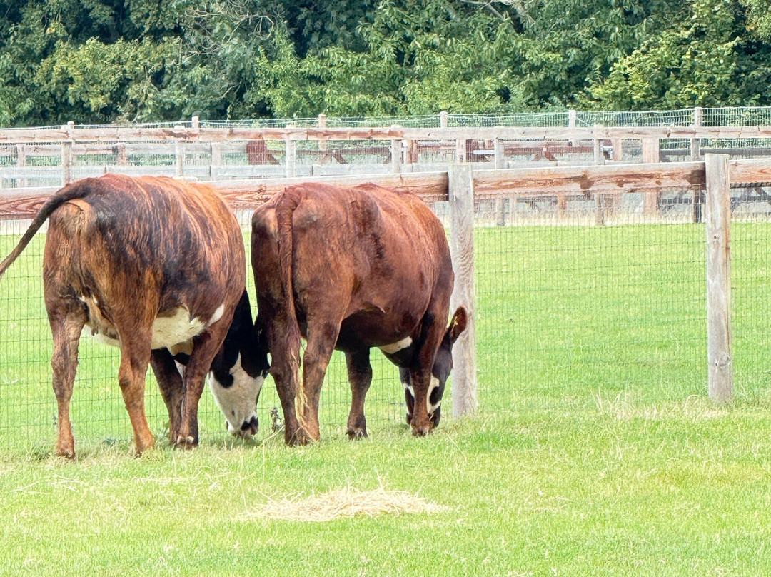 Newbridge House & Farm-Donabate必去景点