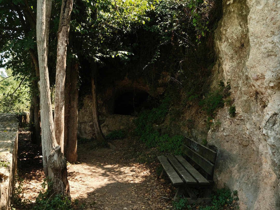 Ruta Botanica-Villarreal必去景点