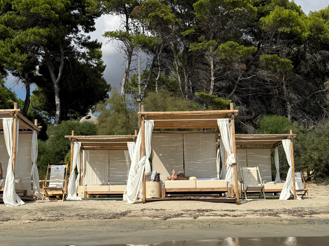 Praia Art Resort主图