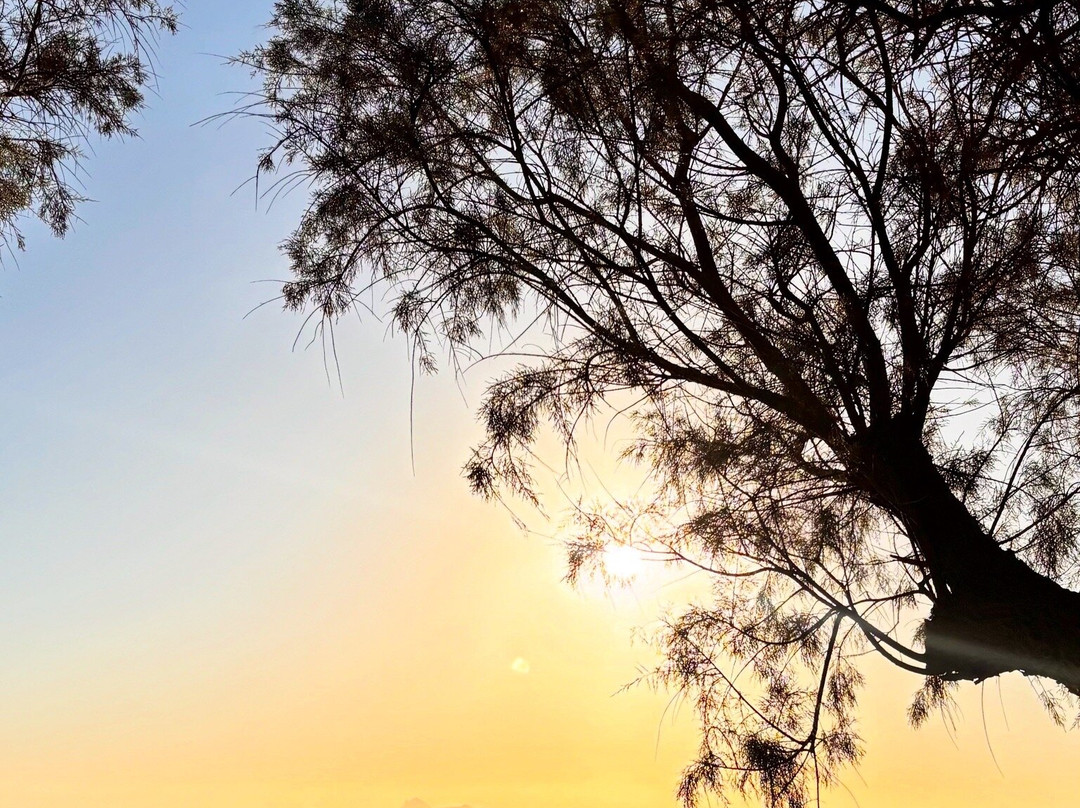 Komos Beach-Pitsidia必去景点