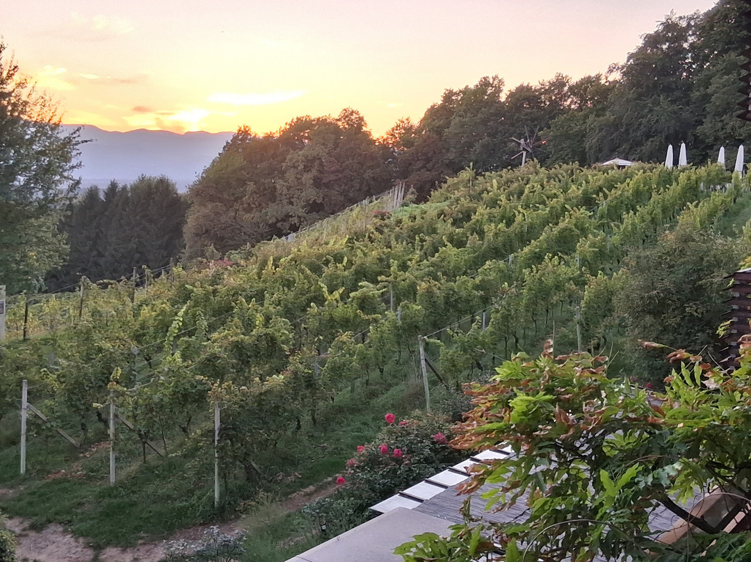 Weingartenhotel Harkamp Sudsteiermark主图