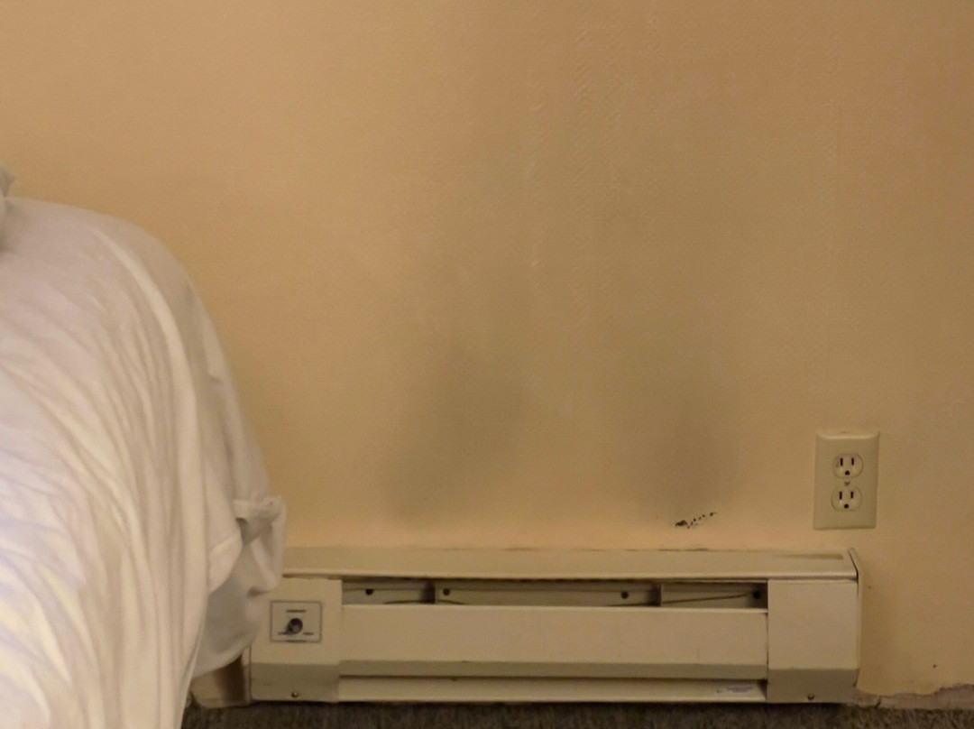 Ocean Crest Resort主图