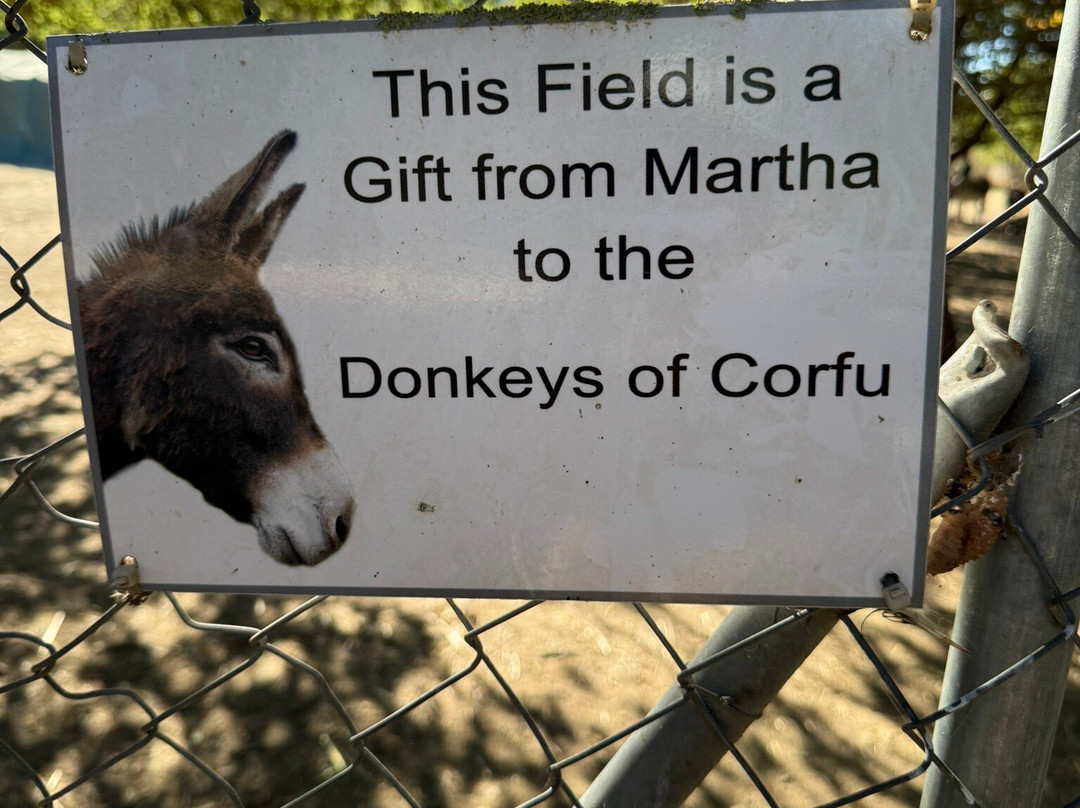 Corfu Donkey Rescue-Paleokastritsa必去景点