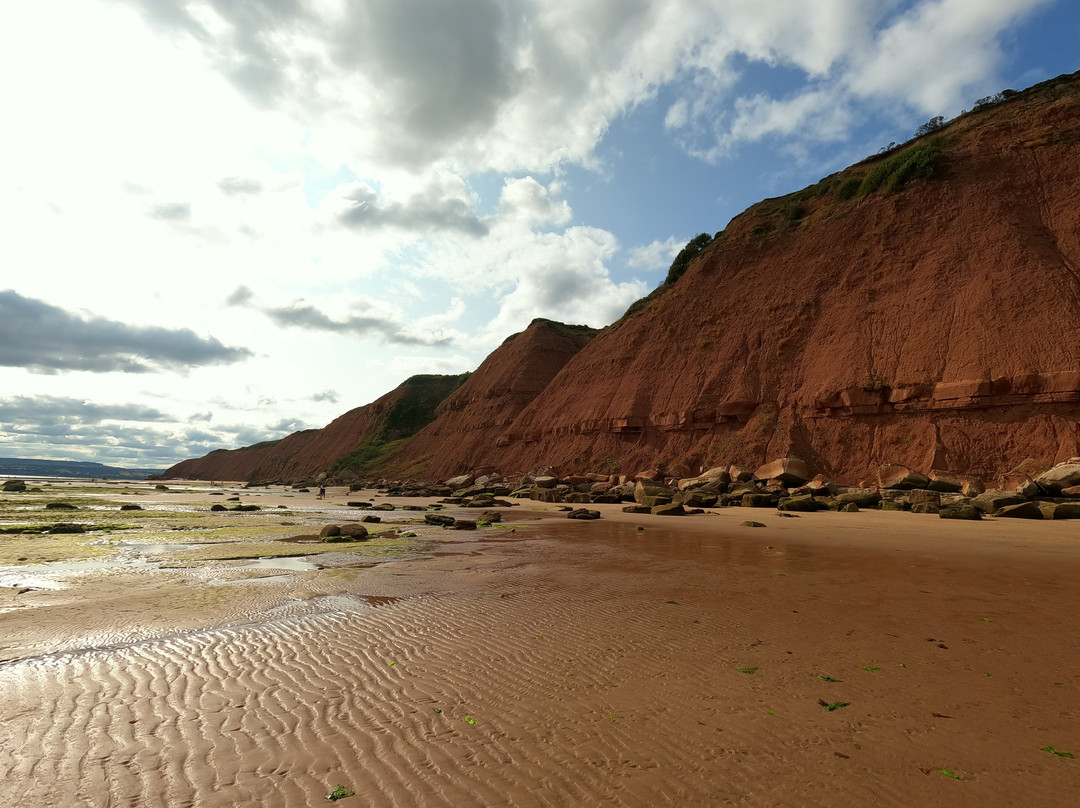 Sandy Bay Beach-埃克斯茅斯必去景点