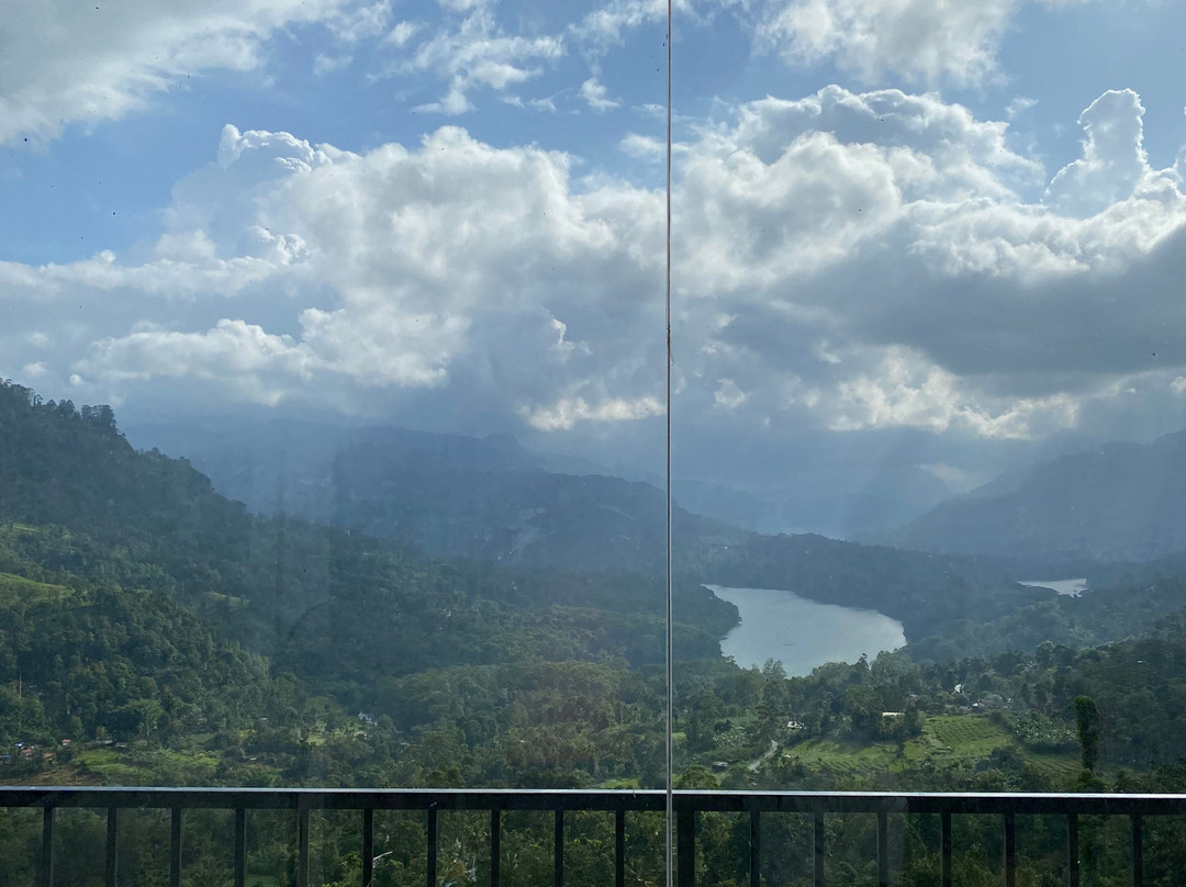 橡树雷茶布什酒店主图