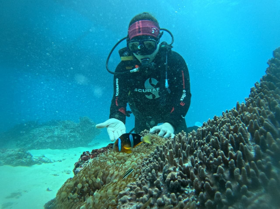 Bali Hai Diving Adventures-蓝梦岛必去景点