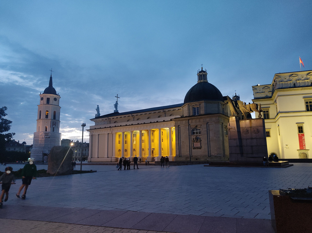 Vilnius Cathedral Square-维尔纽斯必去景点