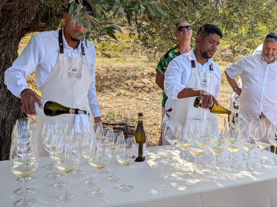 Bodega Masos Guadalest-Benimantell必去景点