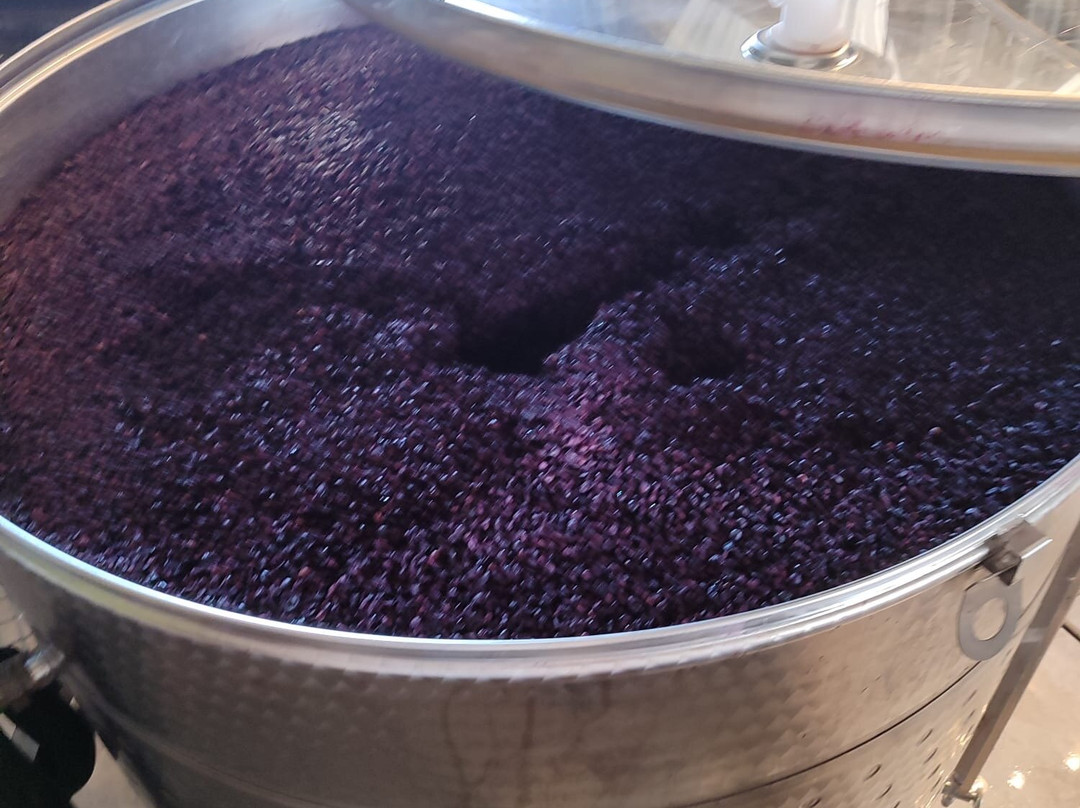 Bodega Masos Guadalest