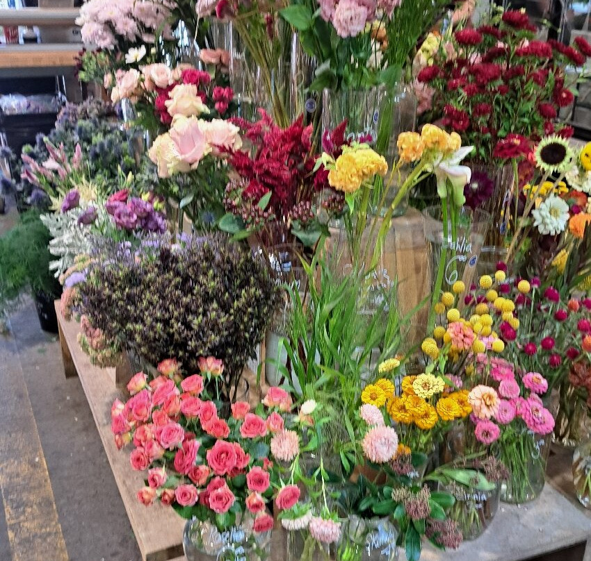 让塔隆集市-蒙特利尔必去景点