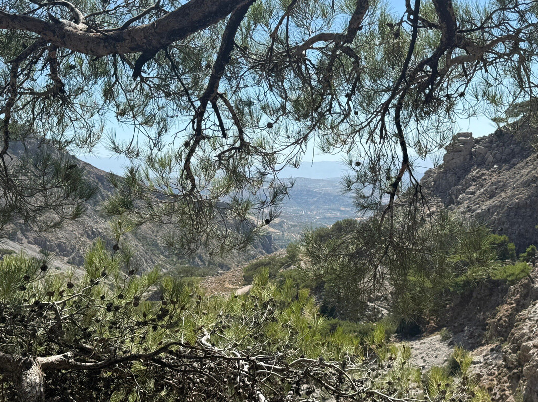 Rouvas Gorge (Agiou Nikolaou)-Zaros必去景点