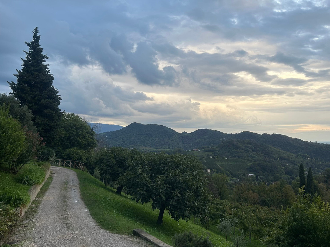 Ville d'Arfanta-Arfanta必去景点