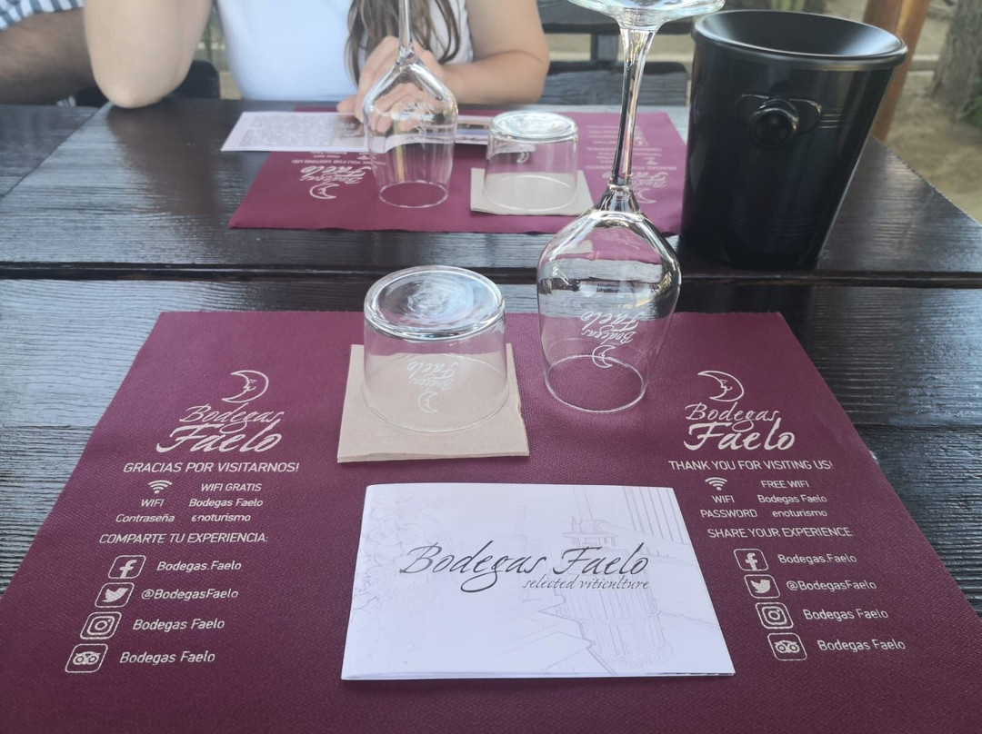 Bodegas Faelo-埃尔切必去景点