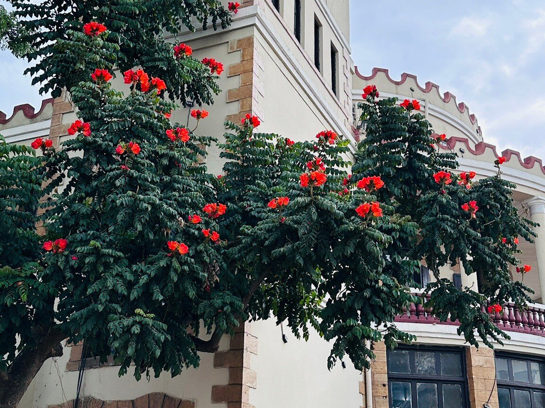 Teddy Harar tour-哈勒尔必去景点