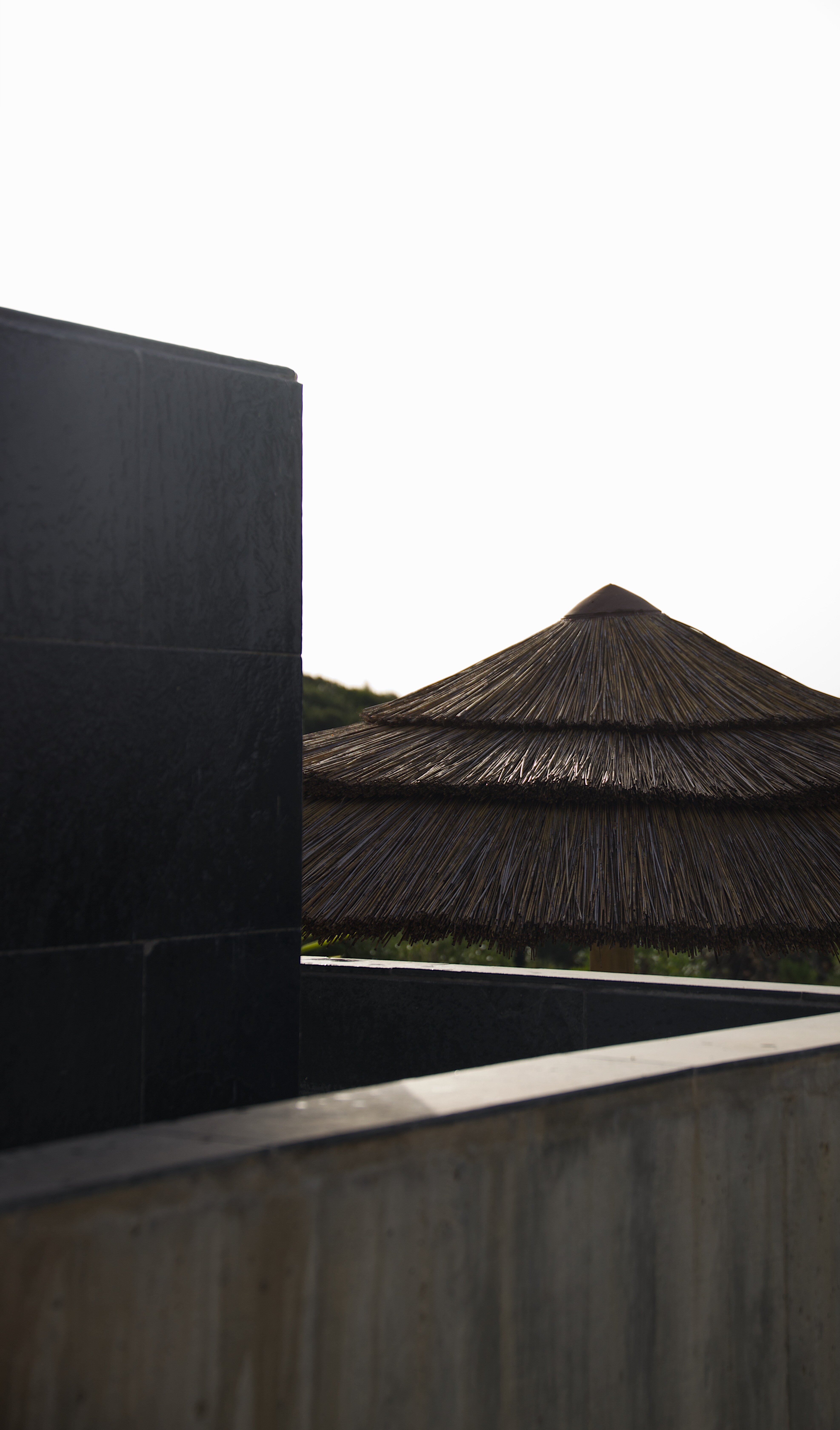 Villa Epicurea-泳池