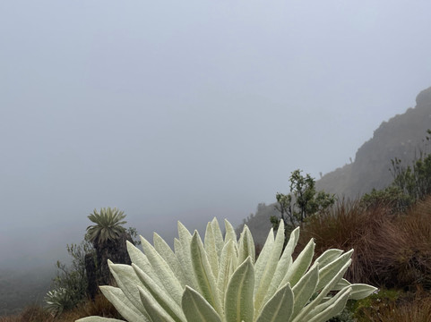 Laguna Negra-Mongui必去景点