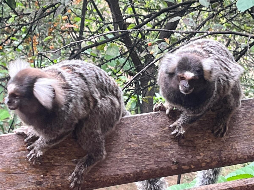 Cachaca Maria Izabel-帕拉地必去景点