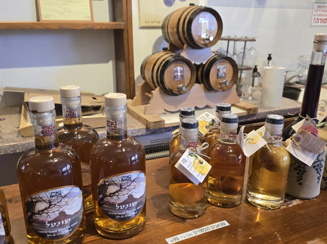 Neot Semadar Tour-埃拉特必去景点