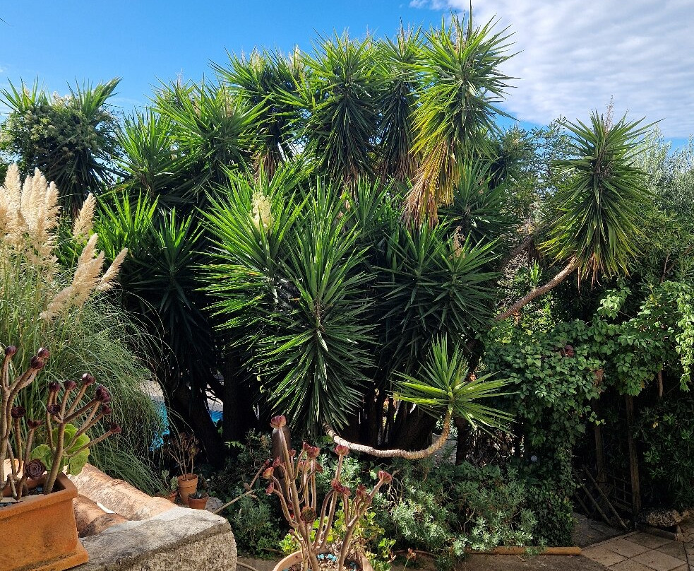 La Villa Guidi主图