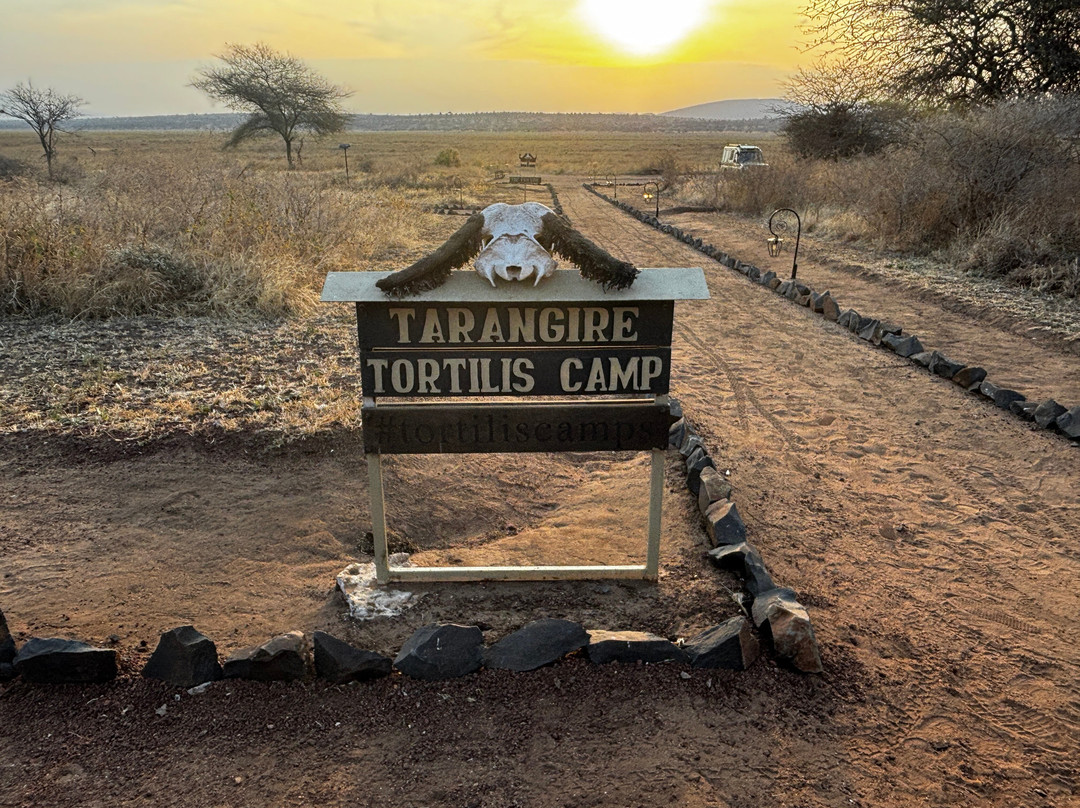 Vumbua Safari-阿鲁沙必去景点