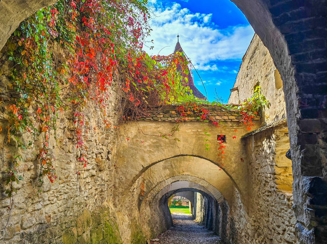 Your Guide In Transylvania - Premium Private Tours-锡吉索拉必去景点