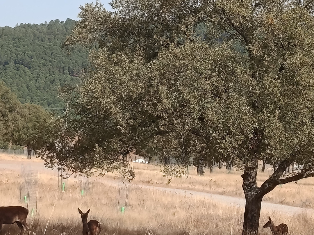 Hotel Balneario de Fuencaliente主图