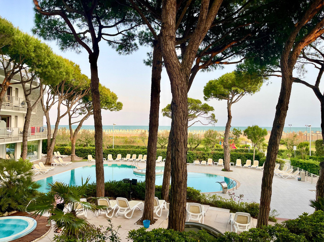 Park Hotel Pineta - Family Relax Resort主图